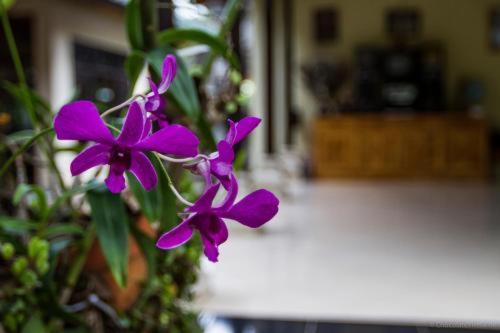 Ubud Tri Upasedana House 2 Otel Tegallalang  Dış mekan fotoğraf